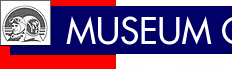 Museum of